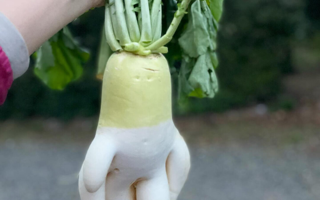 販売を躊躇した野菜特集①