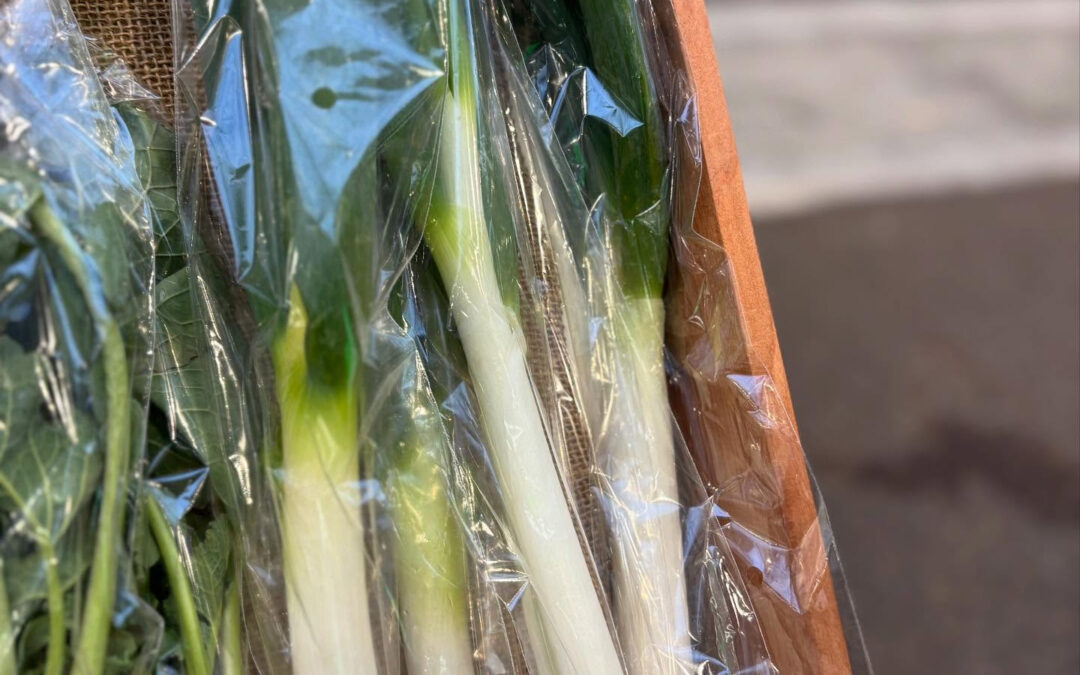 ER i NA selectでは、