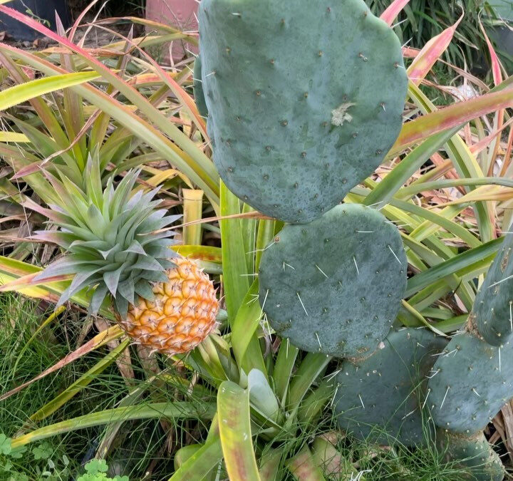 本日もお店が無事に終わりました！