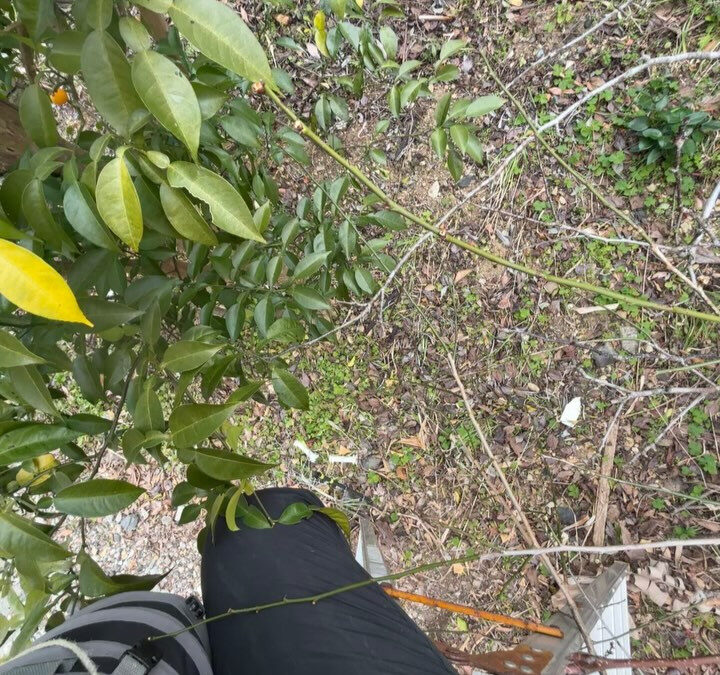 三重県志摩市のERiNA selectでは、伊勢志摩のヒラク