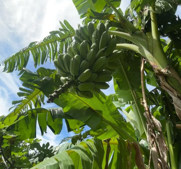 こんにちはERiNAです‼️