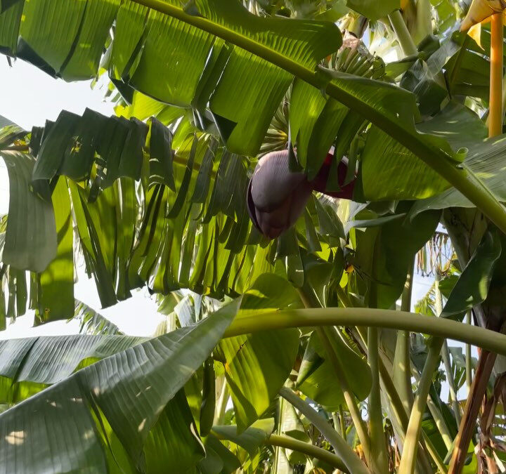 こんばんは❣️