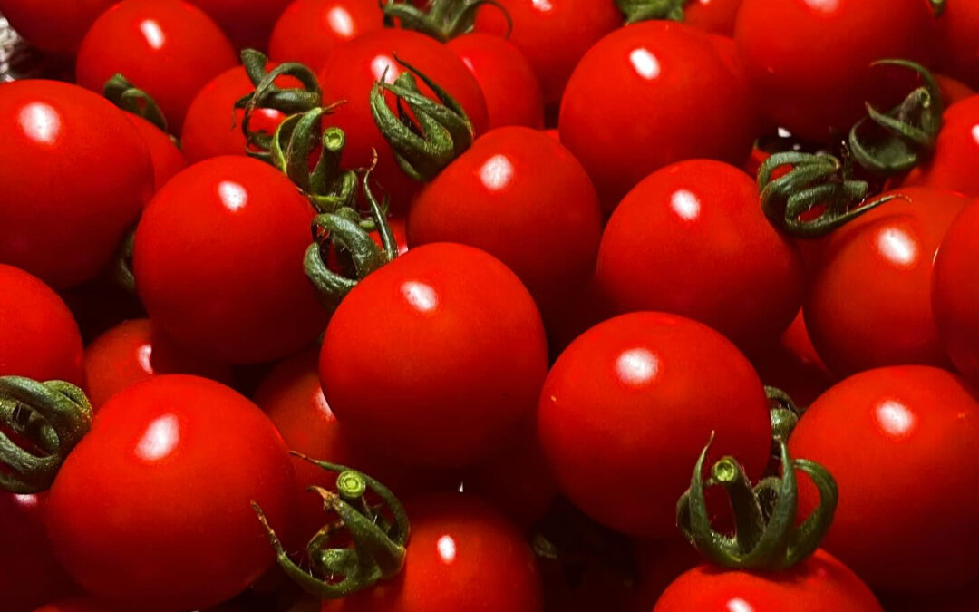 あけましておめでとうございます✨