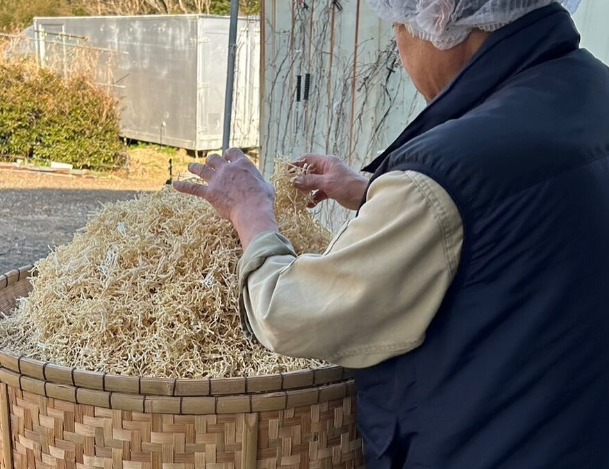 本日営業日です❣️