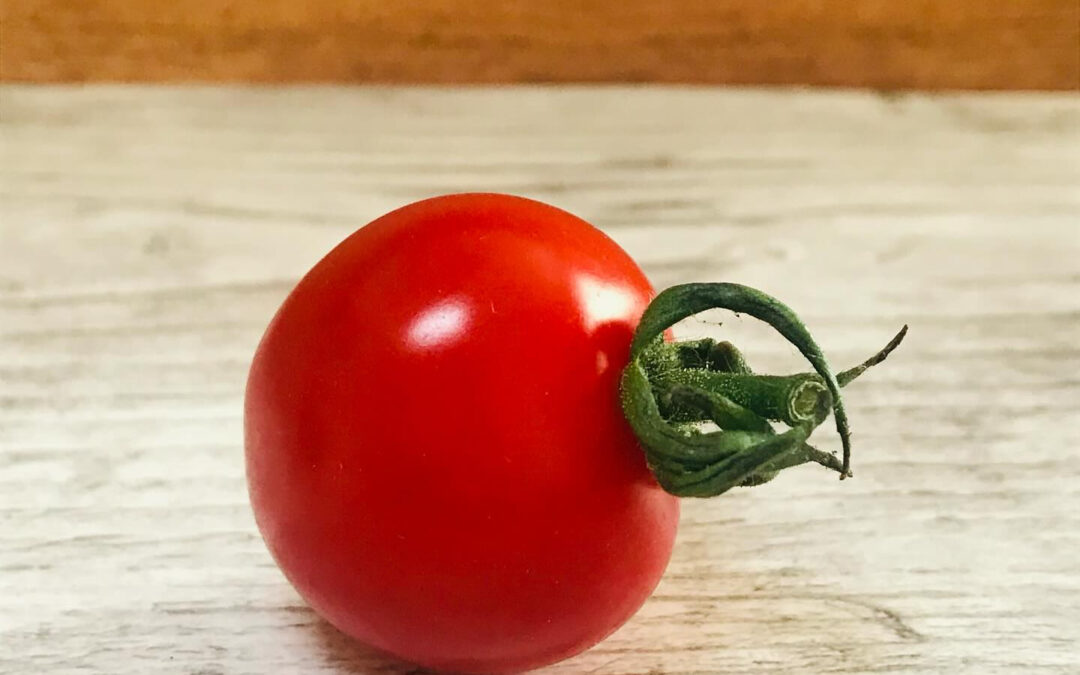 今週のキングスロードデポ➕で食べれるプレートメニューの週替わ