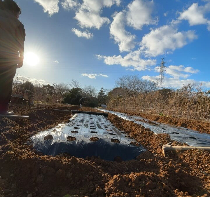 父親と畑作業を行いました