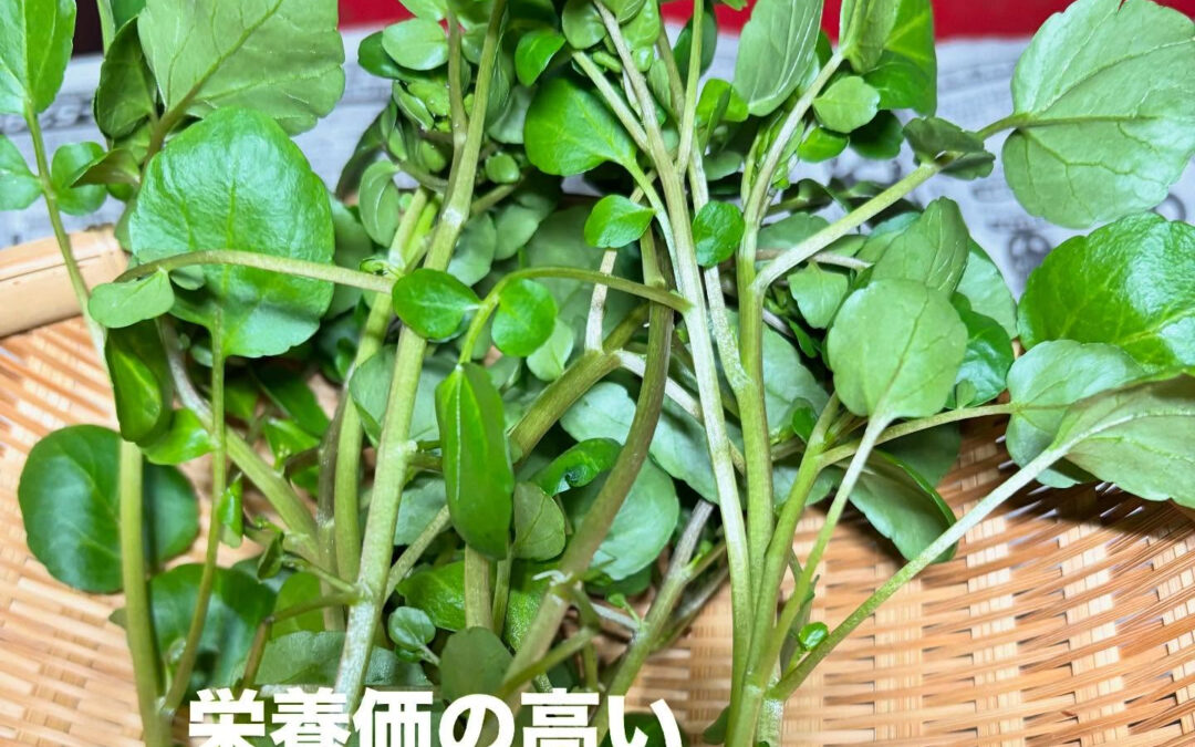 いつもご購入していただきありがとうございます✨