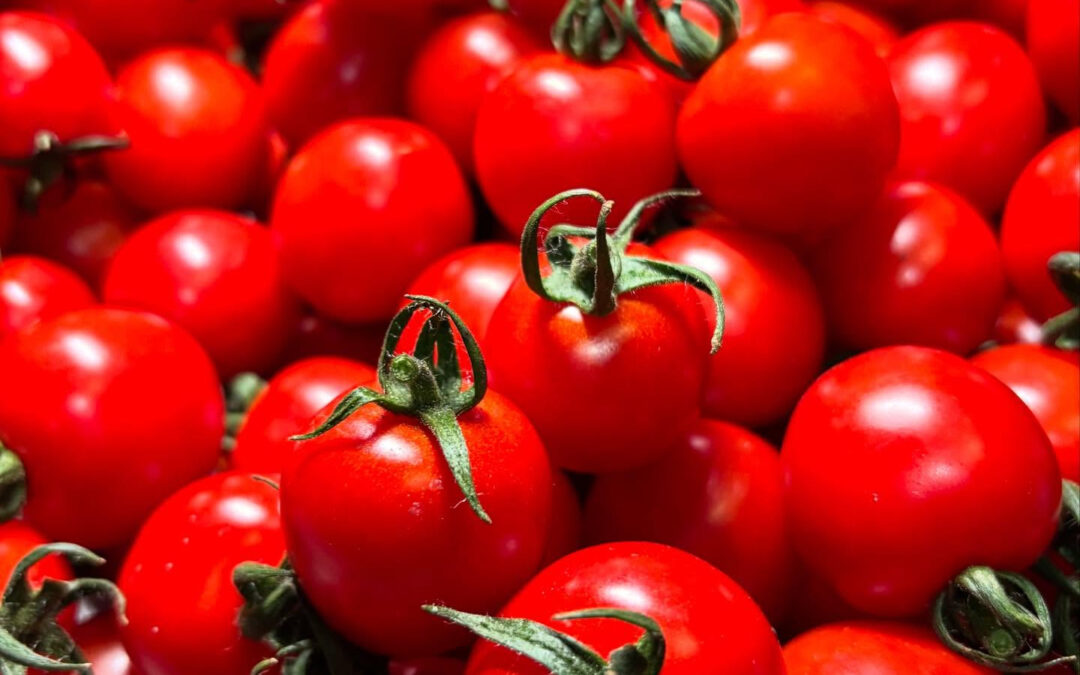 今日も良い天気ですね☀️