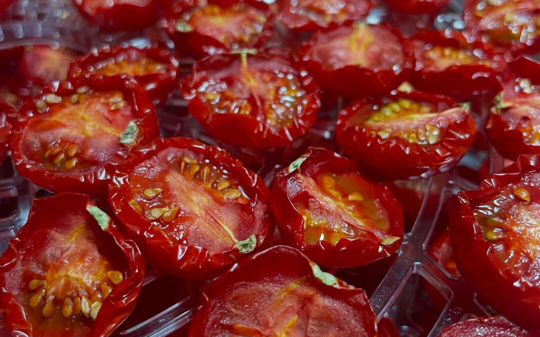 毎週月曜日、木曜日、金曜日の10:00-14:00