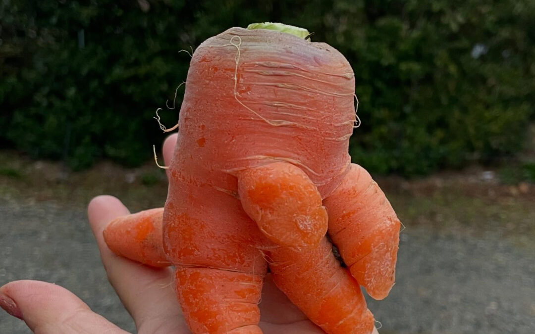 変わった形の野菜たち②