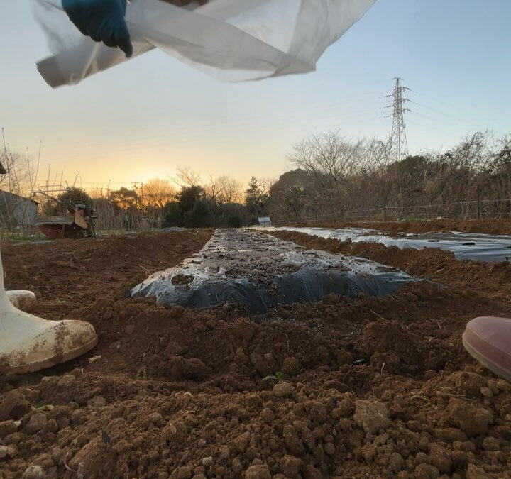 3月初めての営業日❣️