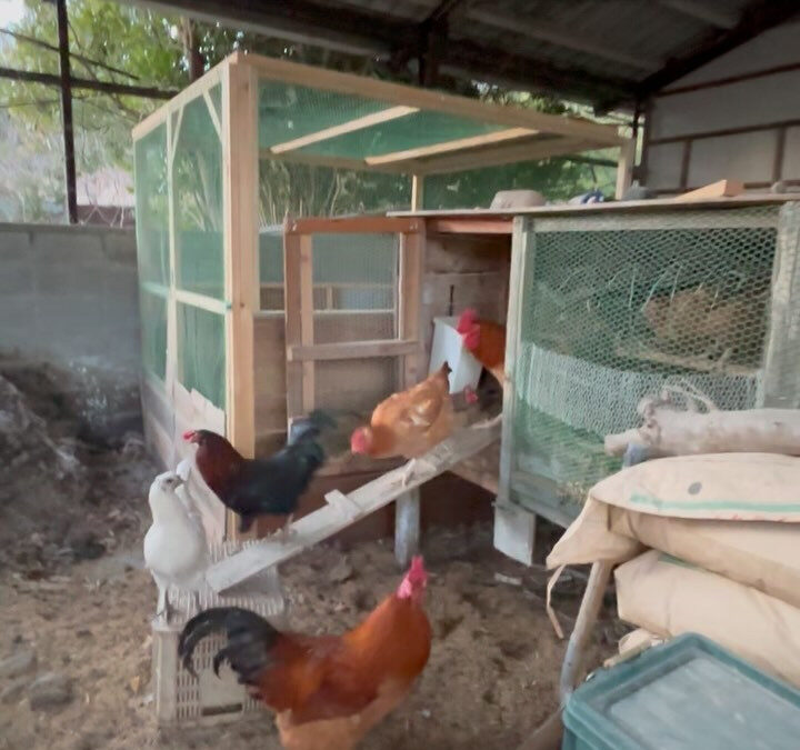 来週のキングスロードデポ➕で