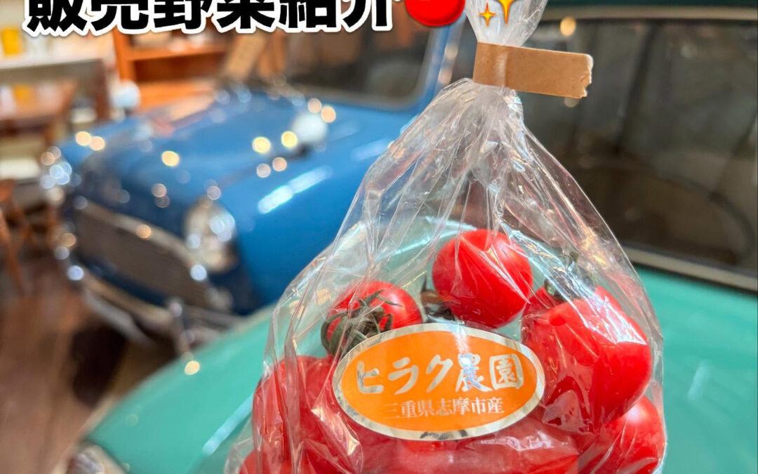 本日販売する野菜