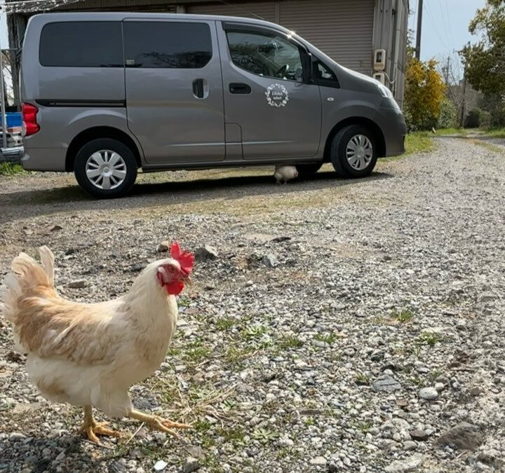 実家の志摩市では、