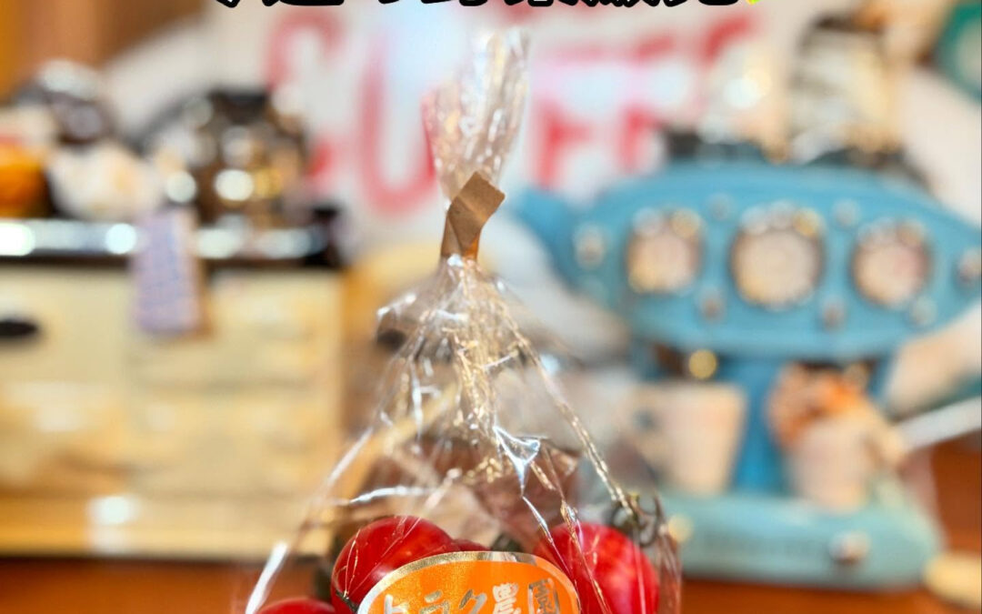 今週の販売する野菜は‼️