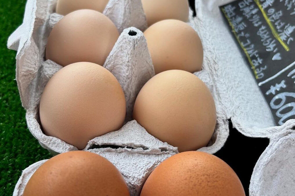 おばあちゃんにわとり