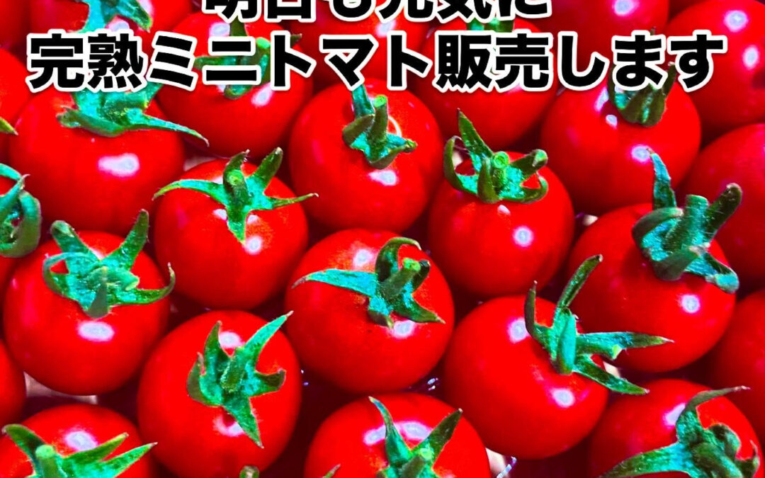 明日も元気に営業しております！