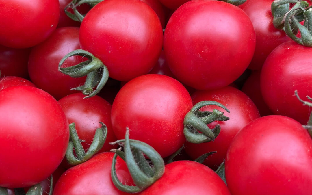 キングスロードの駐車場での野菜販売無事終わりました‍♀️✨