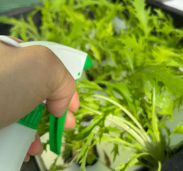 今までひっそりバレないように作っていたけど