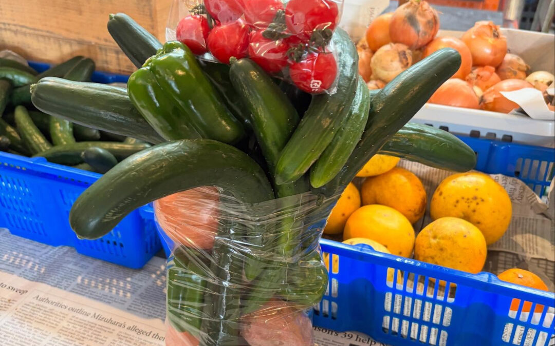 野菜詰め放題イベント無事終わりました✨