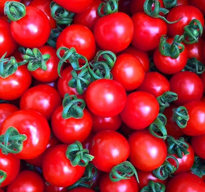 去年はミニトマトの販売が5月までだけでしたが