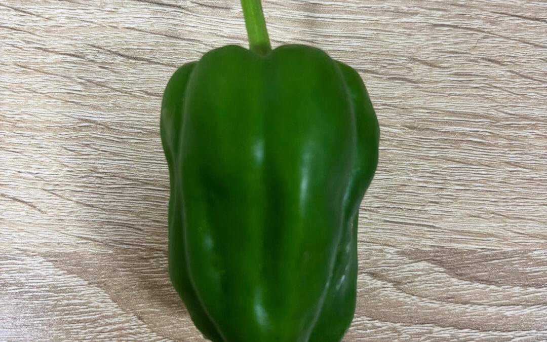 ピーマンは