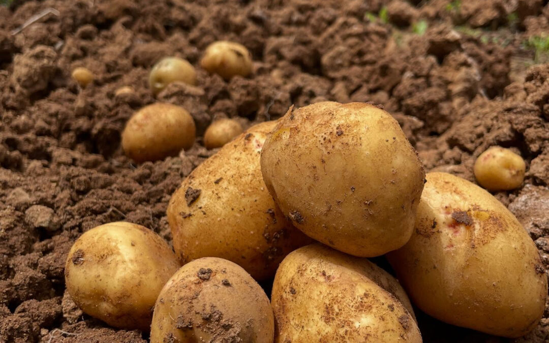 いつもご覧いただきありがとうございます‼️‼️