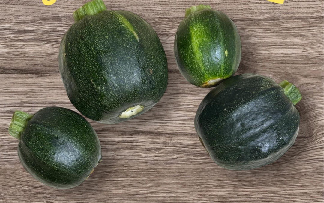 まぁるいズッキーニ