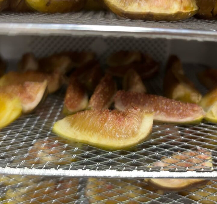 夏の果物