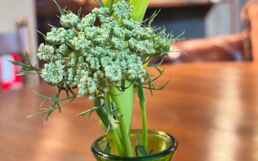 テーブルには、野菜のお花を飾っているときもあります✨