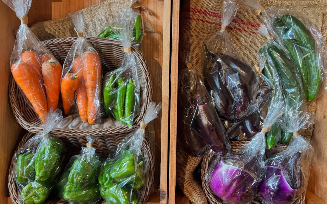 今店頭には夏野菜がいっぱい☺️