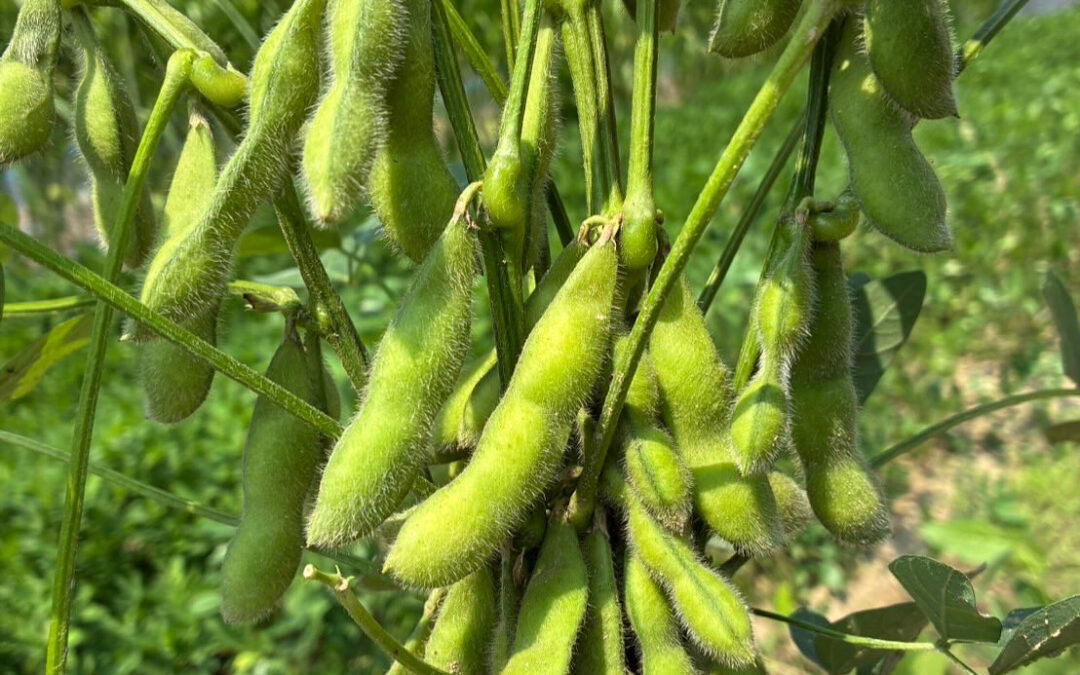 明日も元気にお待ちしております☺️