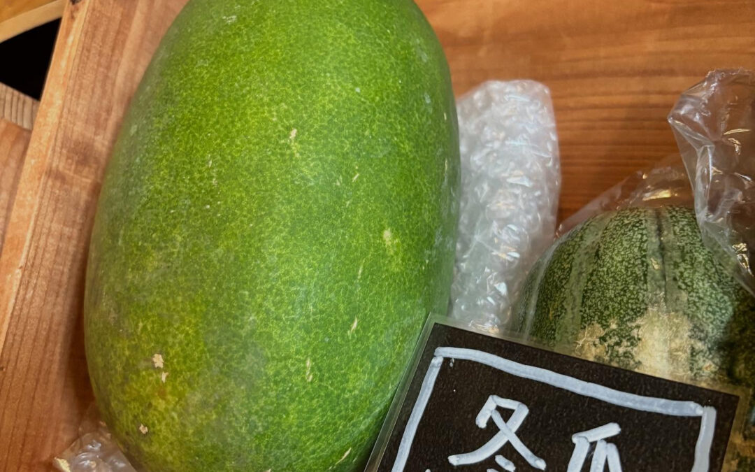 冬瓜も販売始めました‼️