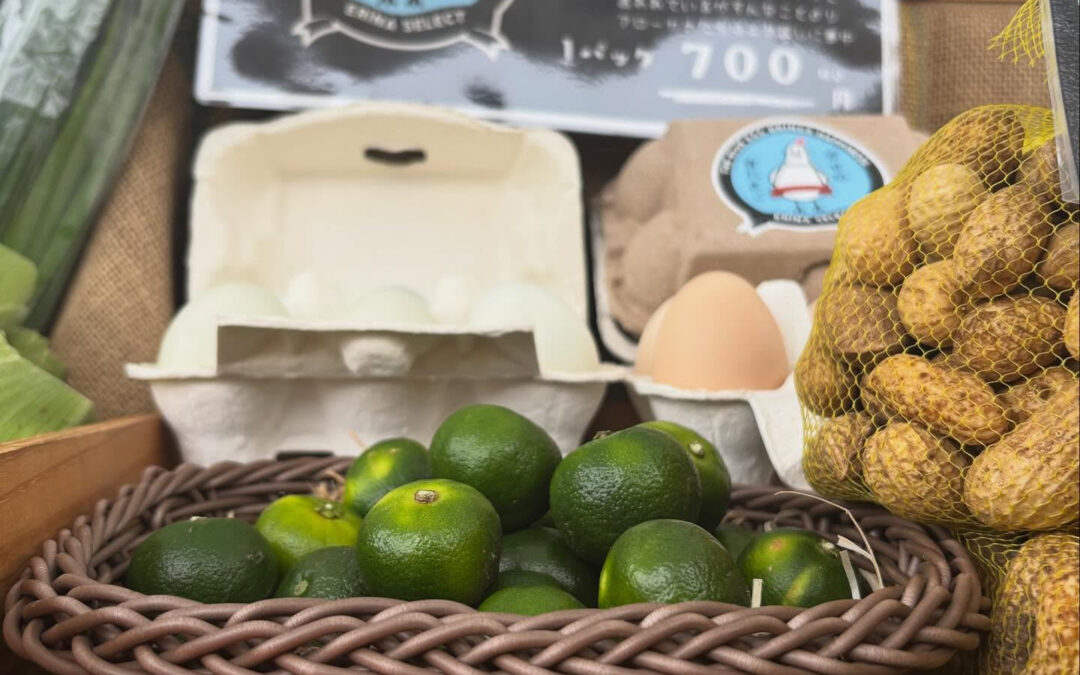 本日お越しいただいたお客様‍♀️‍♀️