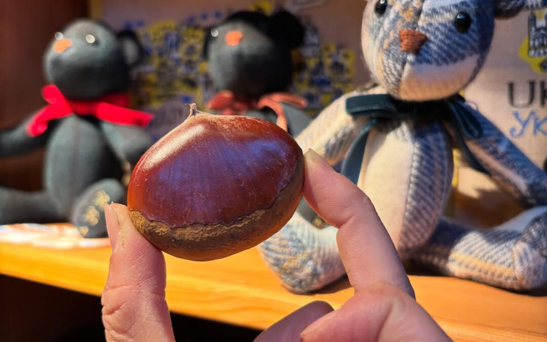 特大サイズの大栗