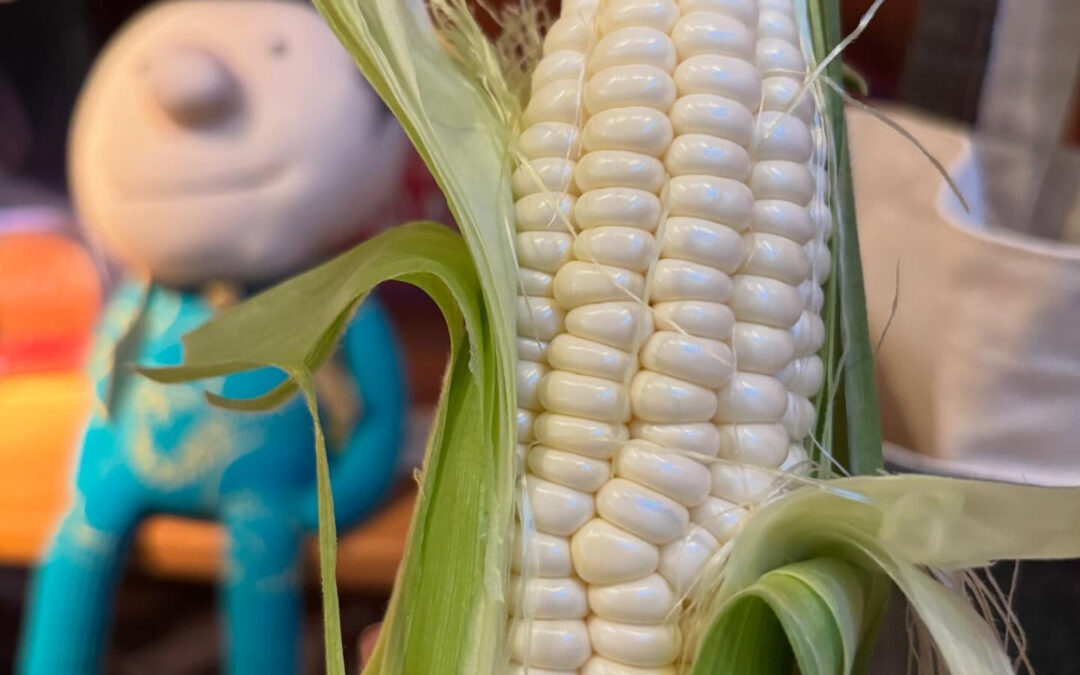 明日はキングスロードの駐車場にて野菜販売です‼️