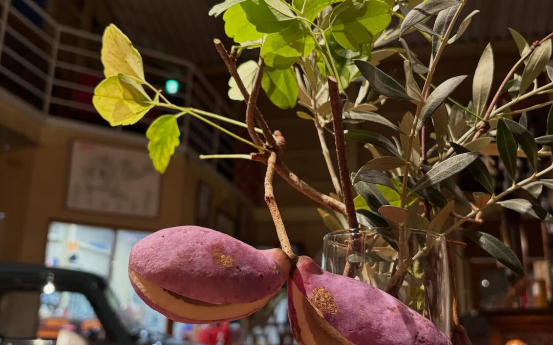季節のお花だったり野菜の花をいつも