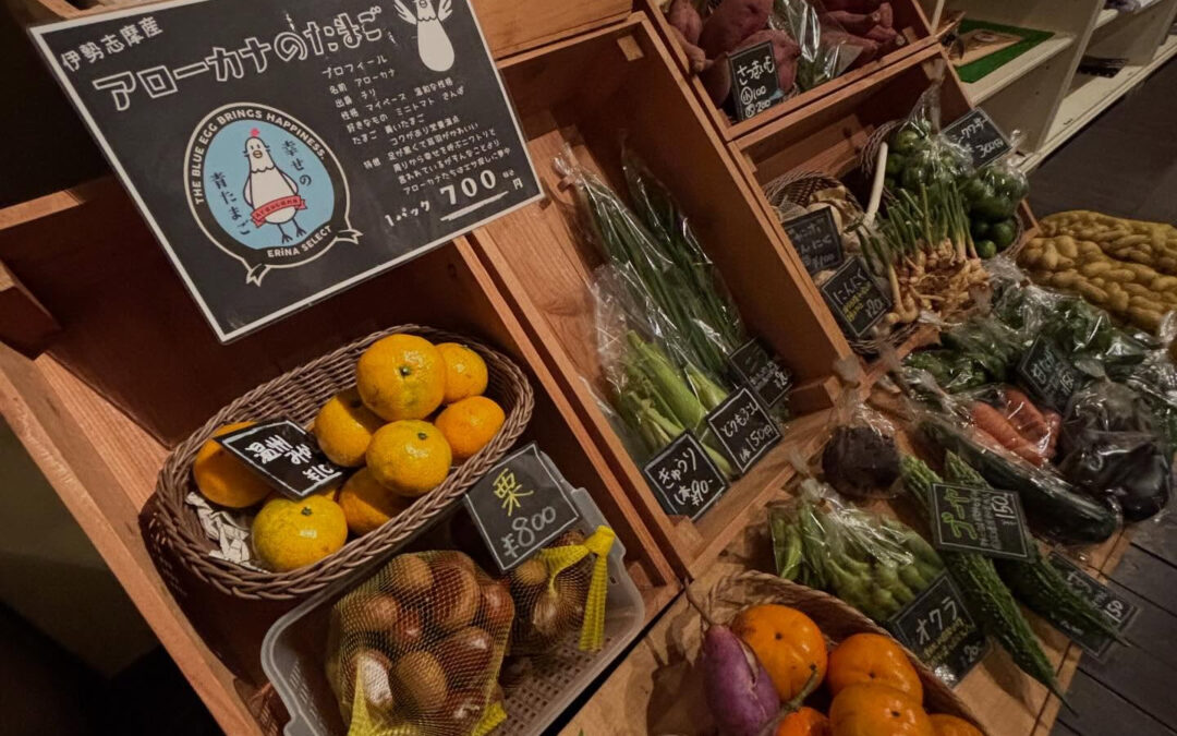 2025/11/06  10:00-14:00