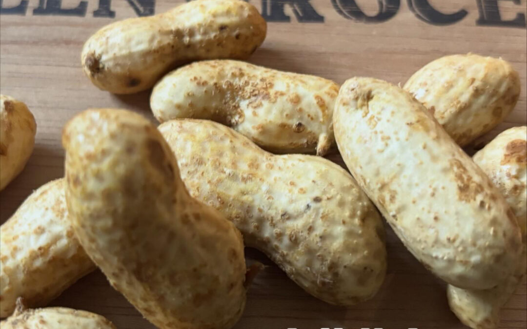 大勝という品種の