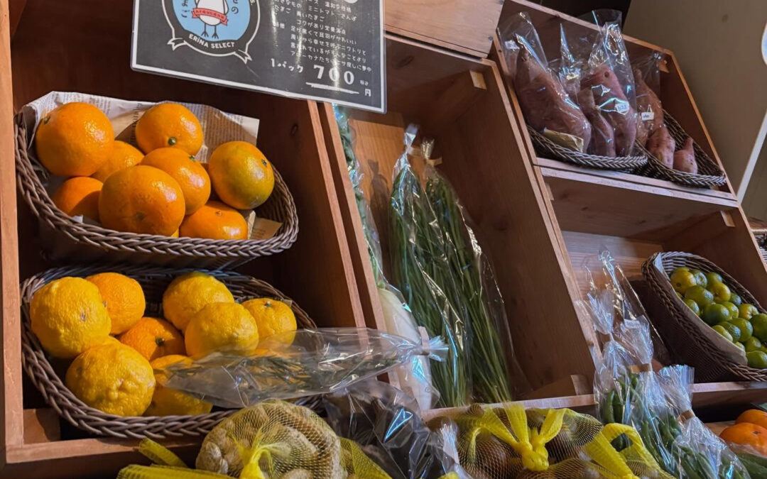 本日販売野菜です‼️