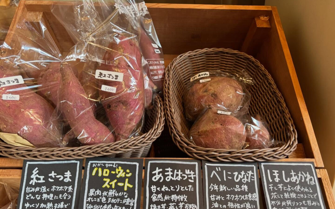 来ていただいたお客様❣️