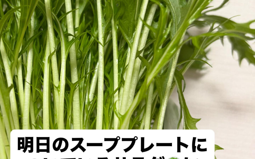 畑で水菜もできて来ました