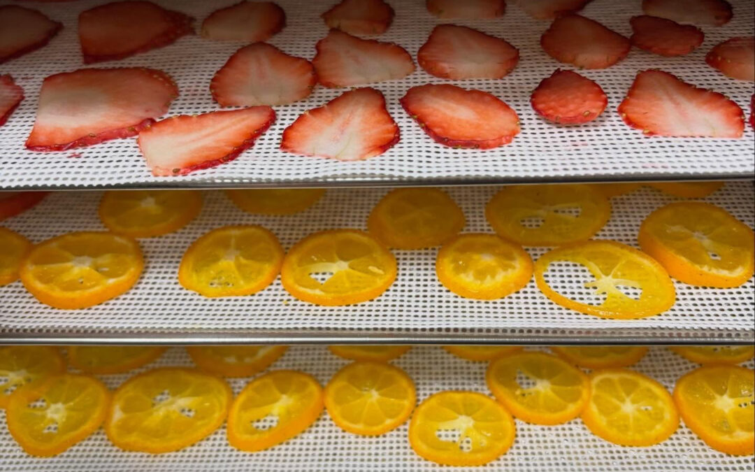 メリークリスマス