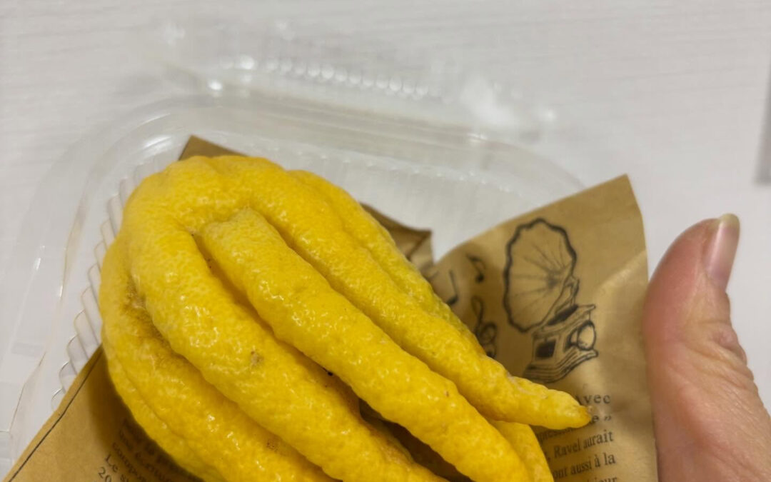 見た目が変わりすぎてる柑橘