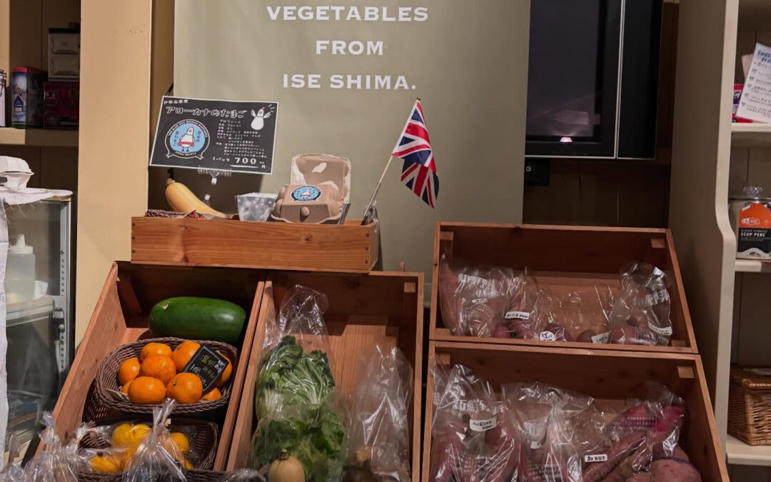 明日販売する野菜です‼️