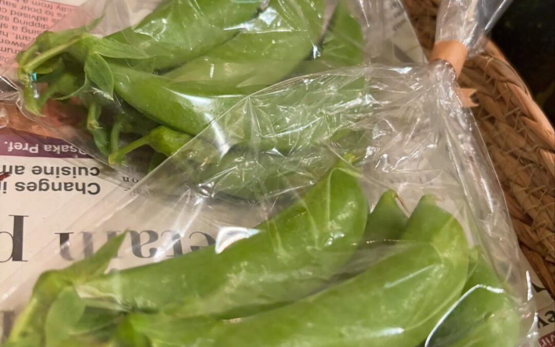 スナップエンドウ