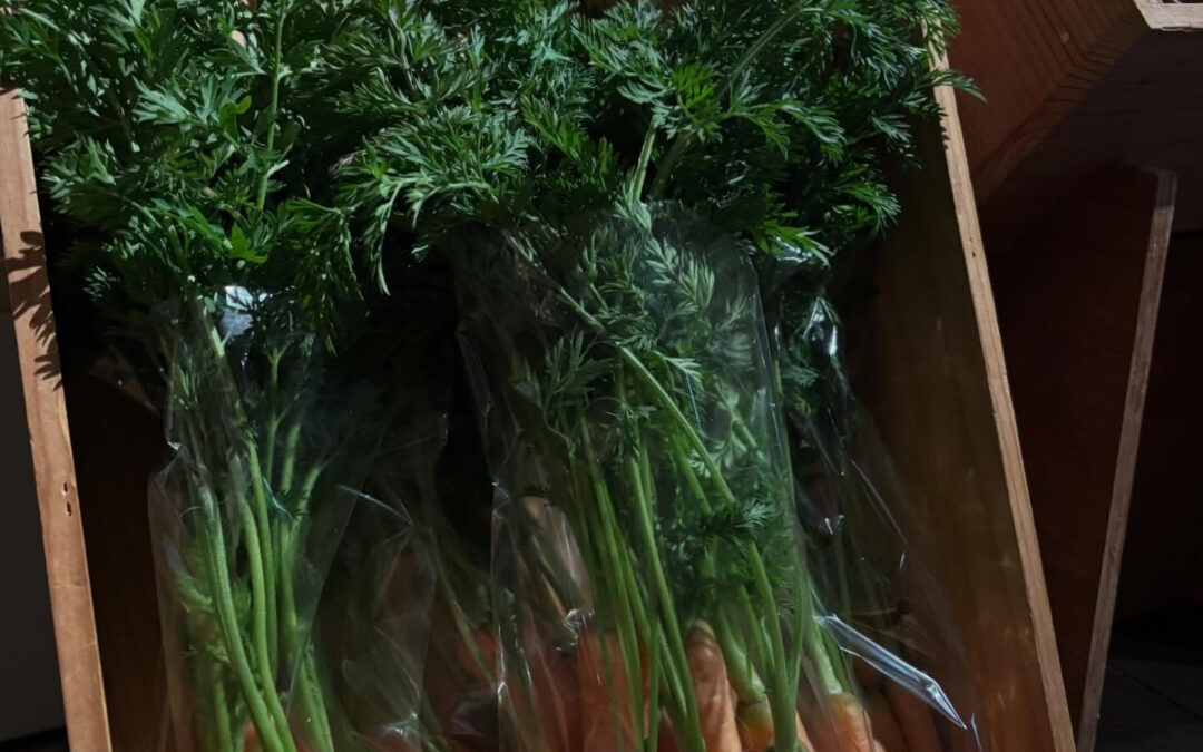 ちょっと小ぶりですが、