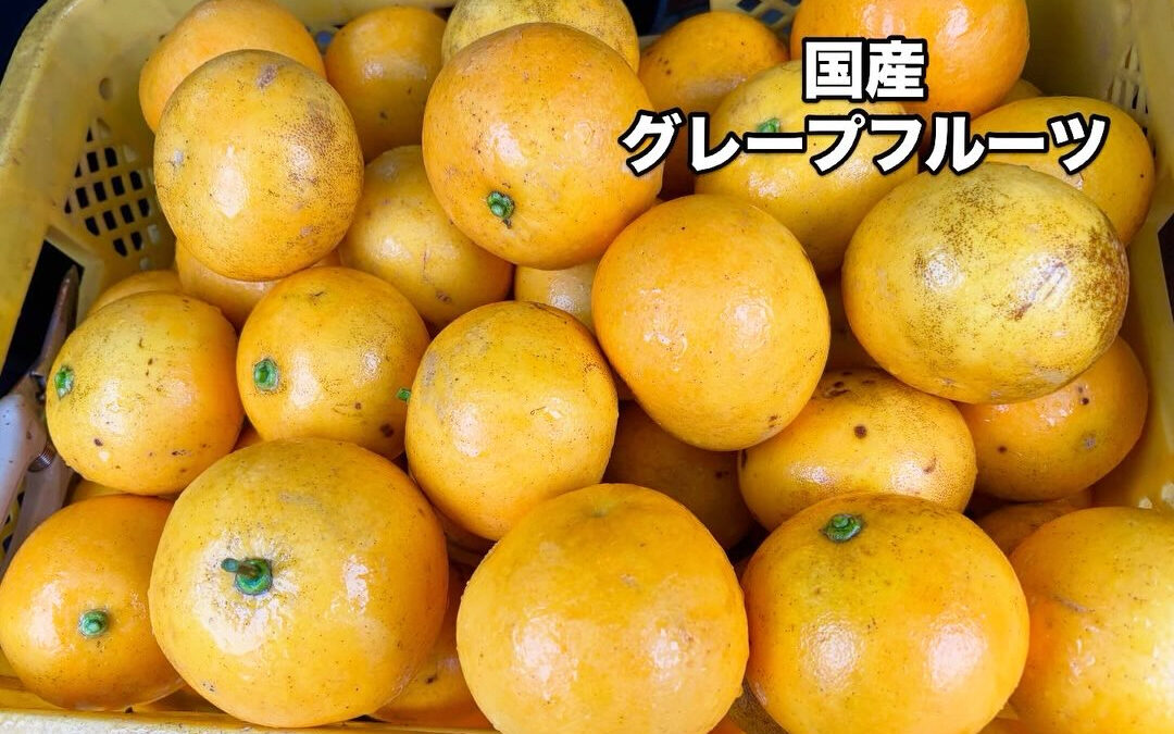 お待たせしました‼️