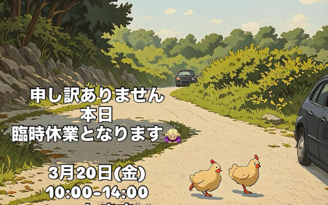 ご連絡遅くなりすみません‍♀️