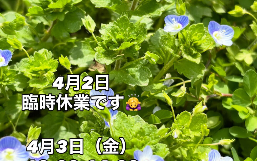 4月2日(木)臨時休業です